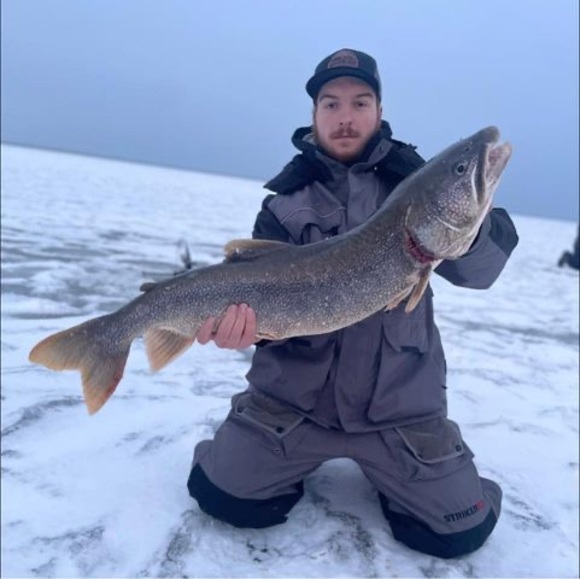 Meet your Posher, Hunter - Picture 1 of 1